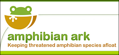 amphibian ark art